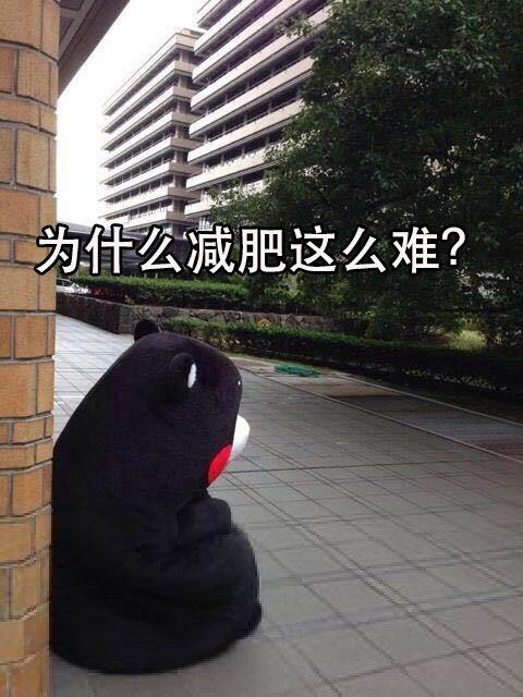 熊本熊的人生疑惑系列微信带字表情包