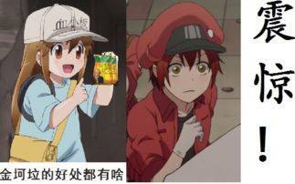 学习去微信恶搞斗图表情包