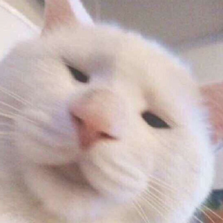 学习去微信恶搞斗图表情包