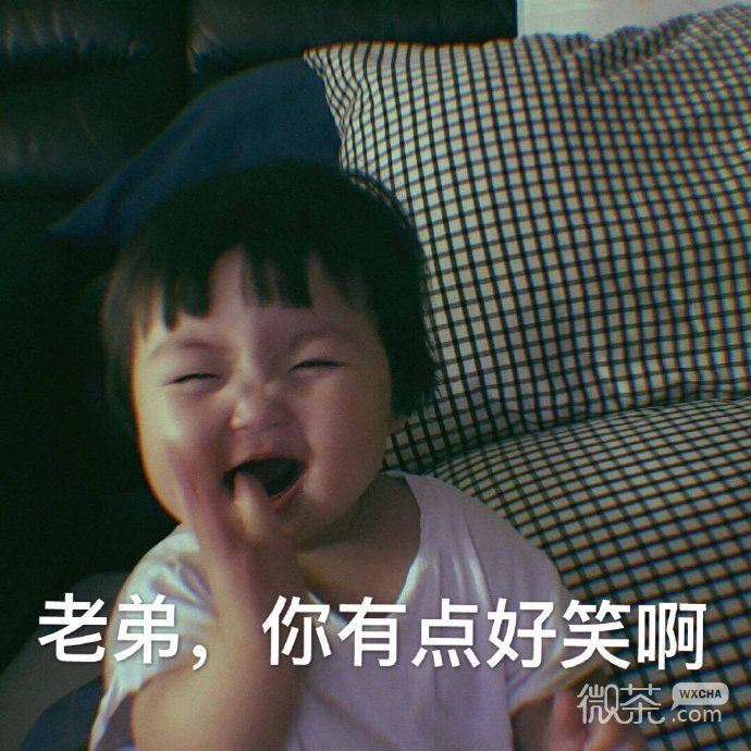 斗图专用的微信搞笑带字表情包合集