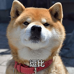 精神小伙微信恶搞斗图表情包