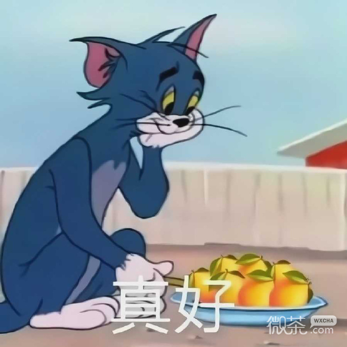微信每日沙雕带字斗图群聊表情包