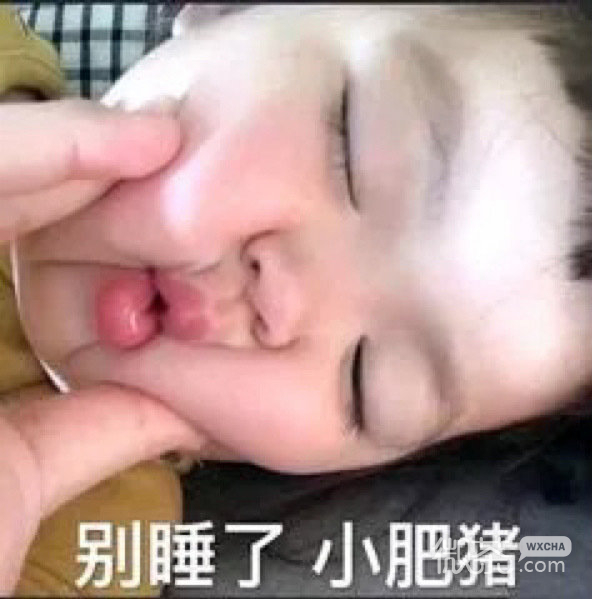 微信日常沙雕斗图表情包第一弹