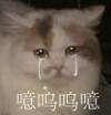 一群土狗微信恶搞斗图表情包