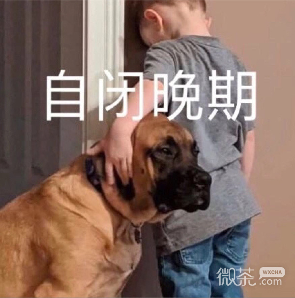 微信每日沙雕带字斗图群聊表情包