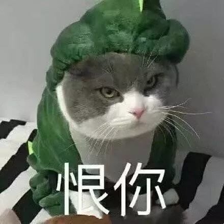 微信日常沙雕斗图表情包第一弹