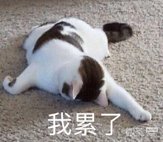微信日常沙雕斗图表情包第一弹