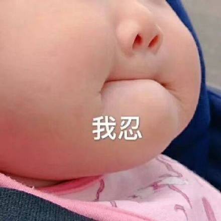 一群土狗微信恶搞斗图表情包