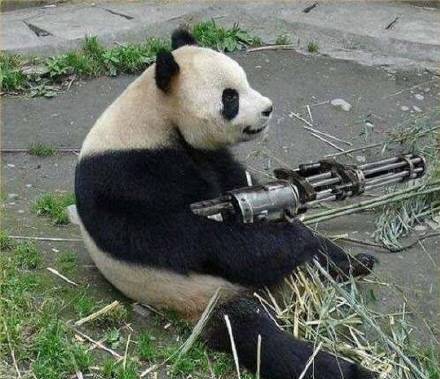 一群土狗微信恶搞斗图表情包