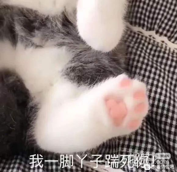 近期微信斗图恶搞表情包2020/3/10