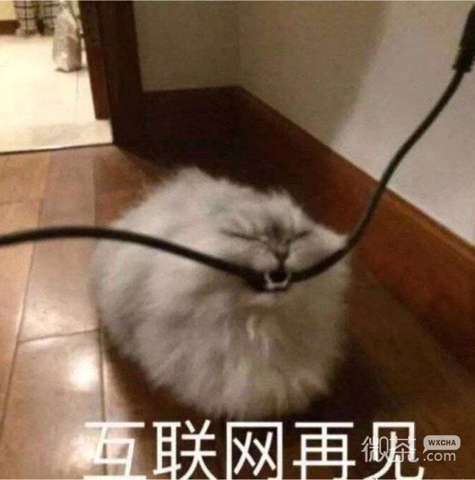 微信每日沙雕带字斗图群聊表情包