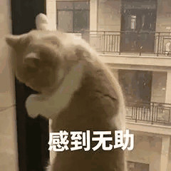 精神小伙微信恶搞斗图表情包