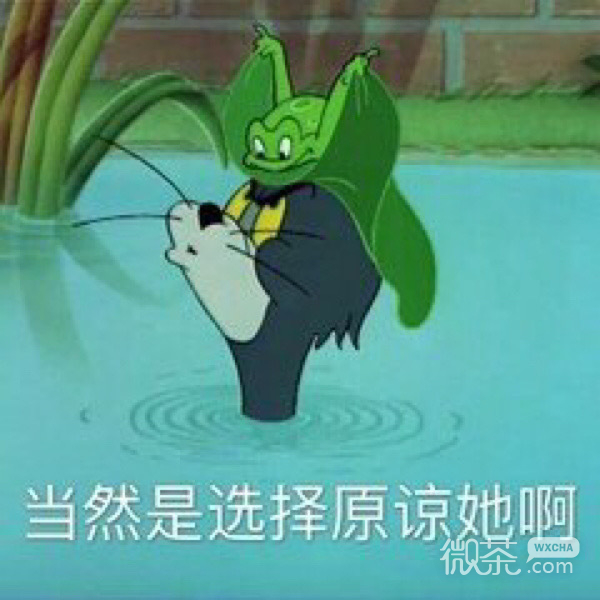 微信每日沙雕带字斗图群聊表情包