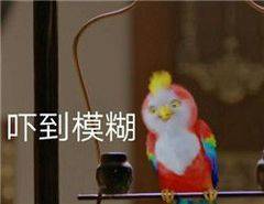 精神小伙微信恶搞斗图表情包