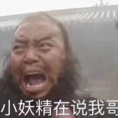 搞笑带字的微信沙雕张飞头像