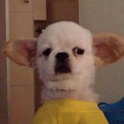 搞笑逗比的微信沙雕头像