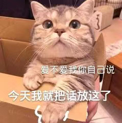 情侣专属的微信斗图表情包