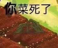 哈哈哈微信恶搞群聊斗图表情包