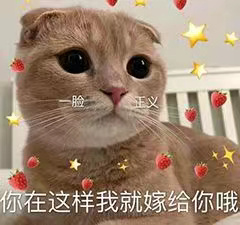 情侣专属的微信斗图表情包