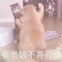 情侣专属的微信斗图表情包
