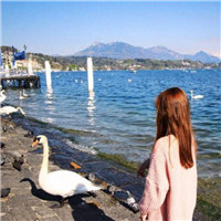 唯美小清新背景的微信女生头像