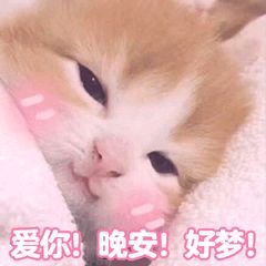 情侣专属的微信斗图表情包