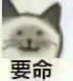 吃惊微信斗图表情包