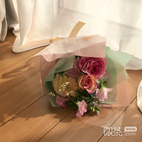 小清新花朵微信朋友圈配图