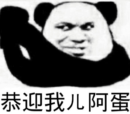 你好美女微信恶搞斗图表情包