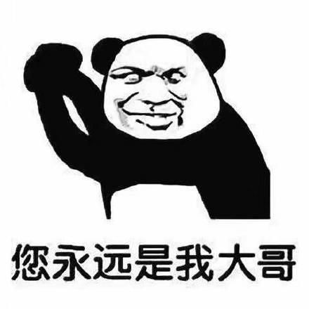 你好美女微信恶搞斗图表情包