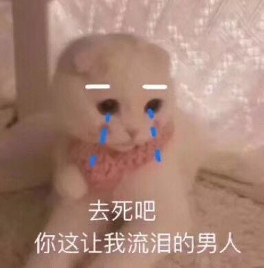 萌萌带字的微信喵星人表情包