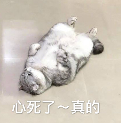 周末专享的微信沙雕斗图表情包