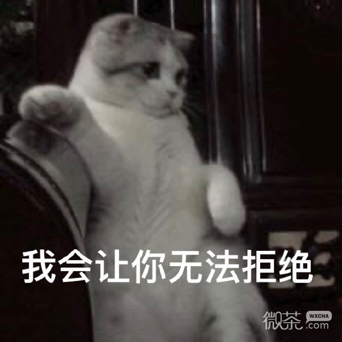 周末专享的微信沙雕斗图表情包