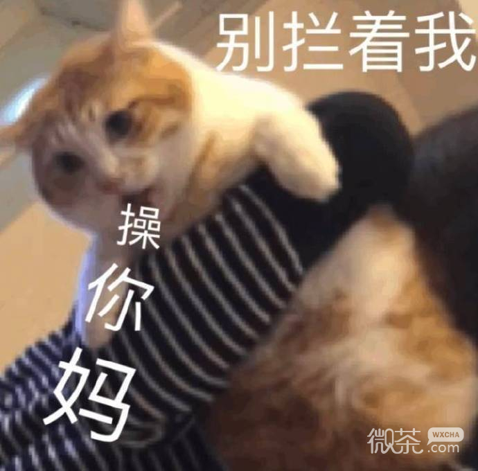 杠精专用的微信最新抬杠表情包
