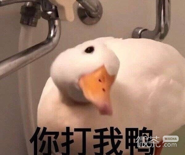 杠精专用的微信最新抬杠表情包