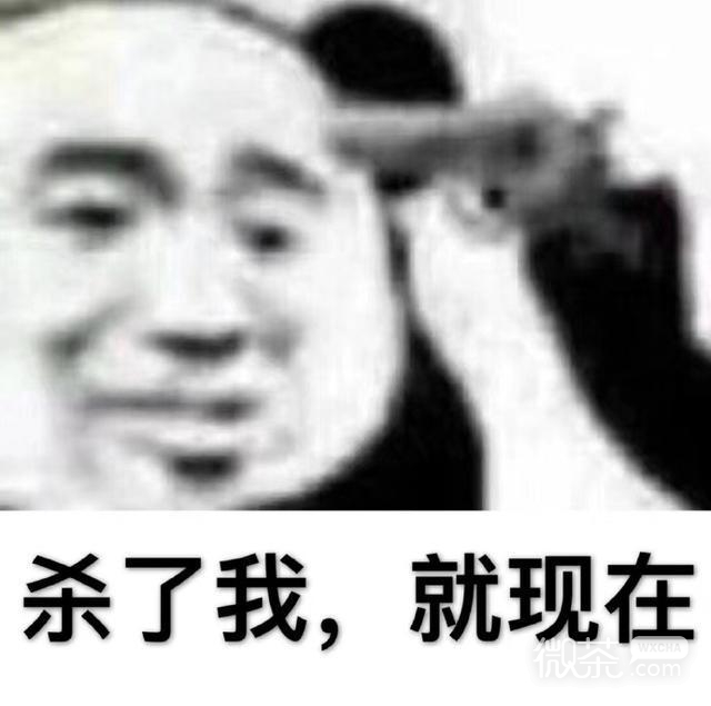 沙雕到爆的微信最新熊猫头表情包