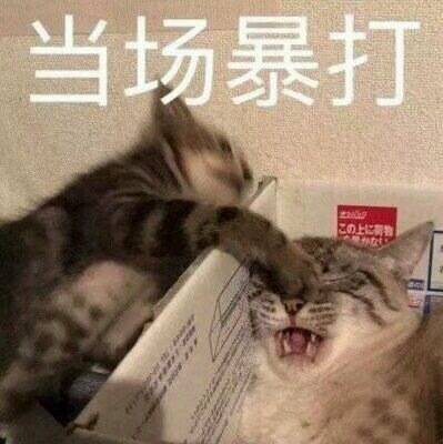 生气人士专用的微信带字表情包