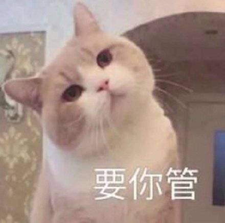 生气人士专用的微信带字表情包