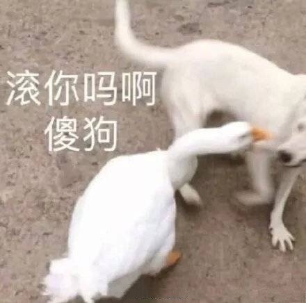 生气人士专用的微信带字表情包