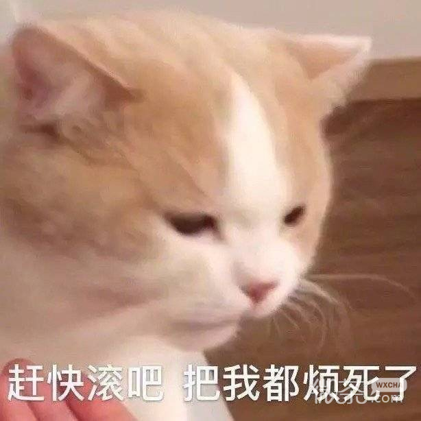 生气人士专用的微信带字表情包