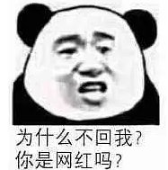 沙雕到爆的微信带字熊猫头表情包