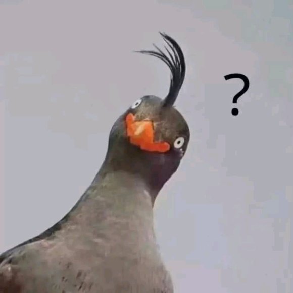 顶不住了微信恶搞斗图表情包