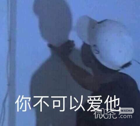 沙雕逗比的微信群聊斗图表情包