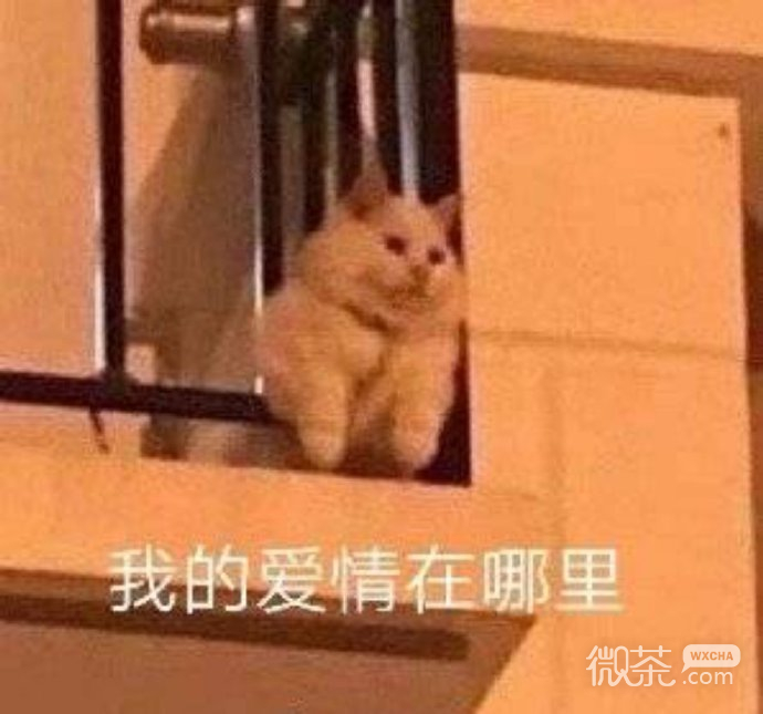 沙雕逗比的微信群聊斗图表情包