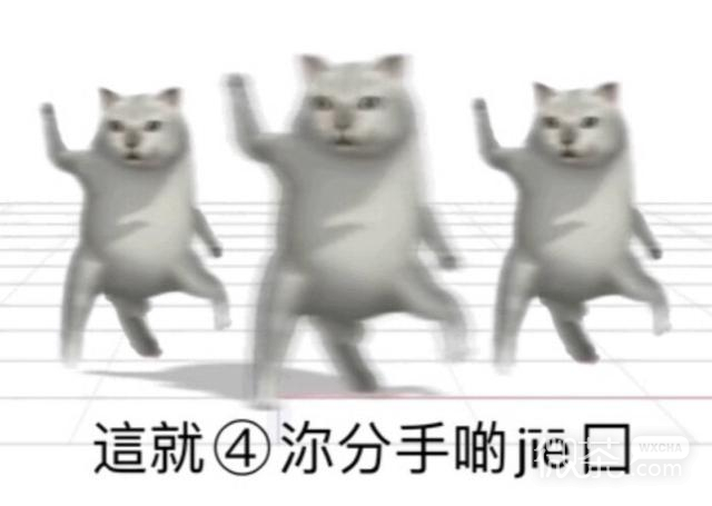 憨憨猫表情包