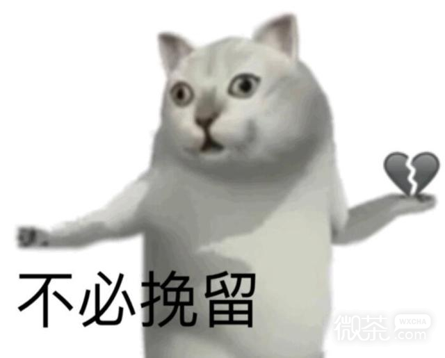 憨憨猫表情包