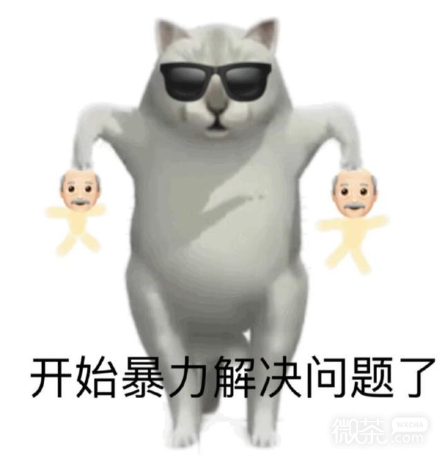 憨憨猫表情包