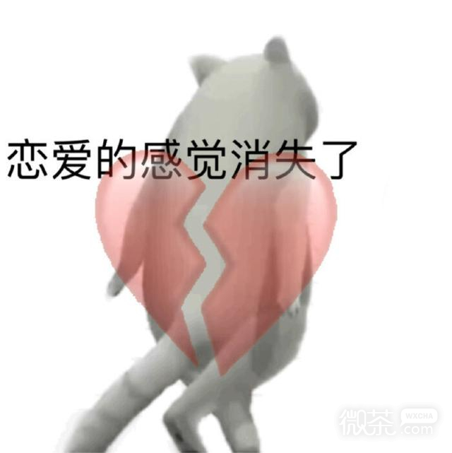 憨憨猫表情包