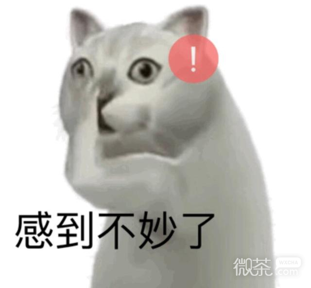 憨憨猫表情包