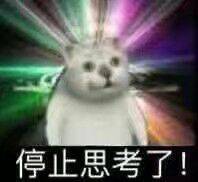 憨憨猫 魔性MUR猫微信表情包